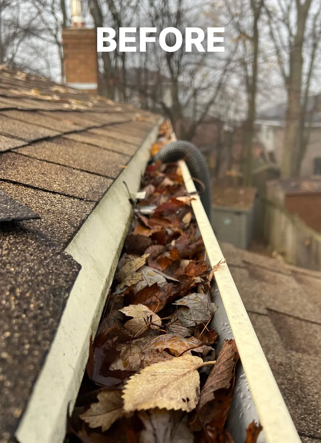 Before gutter cleaning in Kitchener-Waterloo
