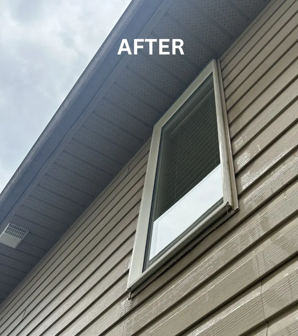 After professional window cleaning